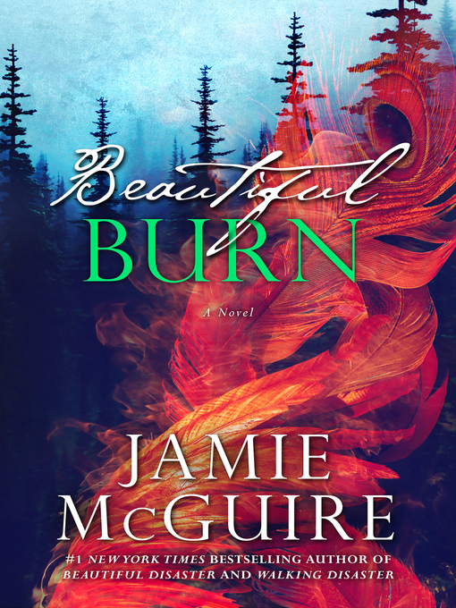Title details for Beautiful Burn by Jamie McGuire - Wait list